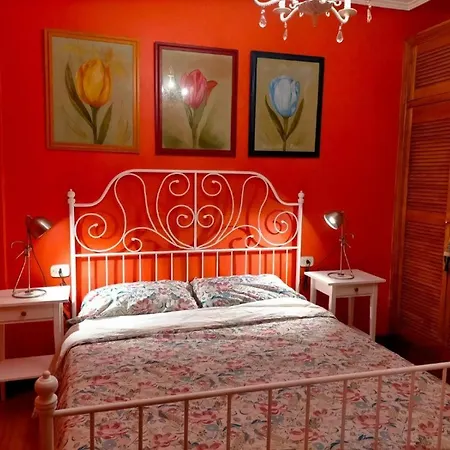 Vivienda Turistica Arangiz Etxea Aulestia